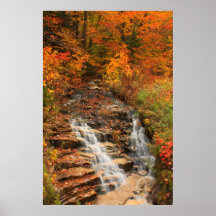 Kancamagus Highway Cascade in Autumn Poster