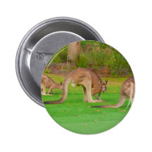 kanga pins
