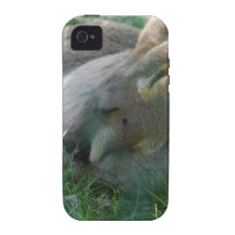 kangaroo-122.jpg Case-Mate iPhone 4 cases