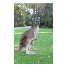 Kangaroo and Joey Custom Stationery