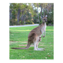 Kangaroo and Joey Personalized Letterhead