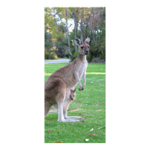 Kangaroo and Joey Personalized Rack Card