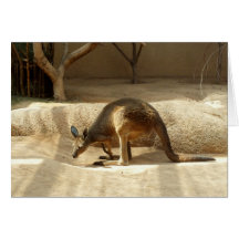 Kangaroo Greeting Card