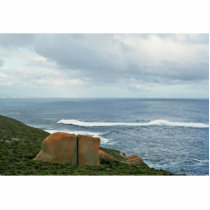 Kangaroo Island, South Australia Photo Cut Outs