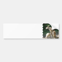 Kangaroo Joey  Bumper Sticker