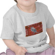 KANGAROO & KOALA TSHIRTS