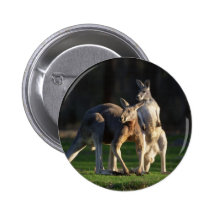 Kangaroo Pair Pin