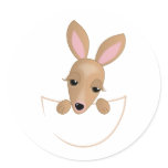 Kangaroo Pouch Stickers
