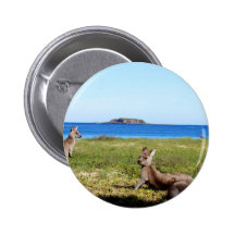 Kangaroo Relaxing View Pin