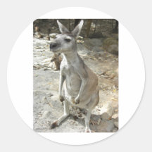 KANGAROO STICKER