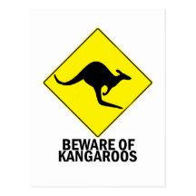 Kangaroos Postcard
