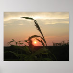 Kansas Sunset 3 Poster
