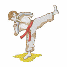 Karate Boy