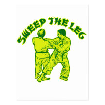 Karate Kid Postcard