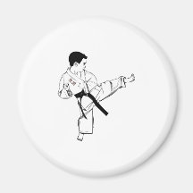 Karate Kid Refrigerator Magnets
