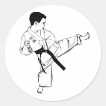 Karate Kid Stickers