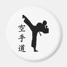 Karate Kung Fu Magnets