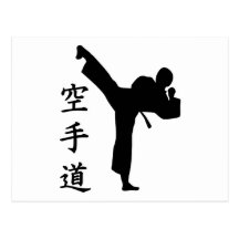 Karate Kung Fu Postcard