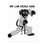 Karate Lab Postcards