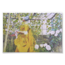 Karin Larsson in the Grape Arbor Photo Print