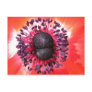 Karte "Anemone" Postkarte