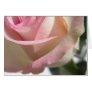 Karte "Rose"