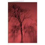 kates 717 card