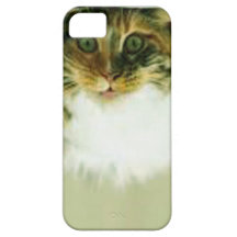 Katkins iPhone 5 Cases