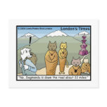 Katmandu & Dogmandu Cartoon Funny Postcards