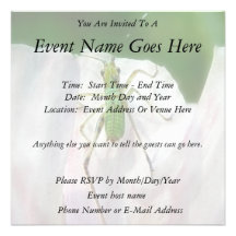 Katydid Nymph - Scudderia Furcata Personalized Announcements