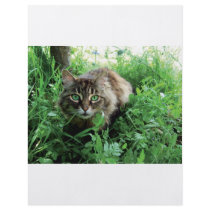 Katze Flyer Design