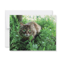 Katze Personalized Invitations