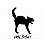 katze wildkatze kätzchen mieze cat pussy wildcat m postkarte