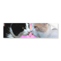 Katzen Liebespaar Autosticker