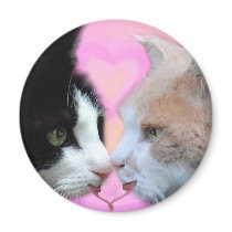 Katzen Liebespaar Kühlschrankmagnete