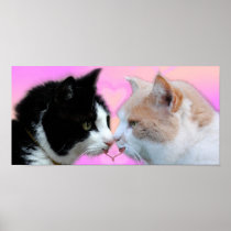 Katzen Liebespaar Plakate