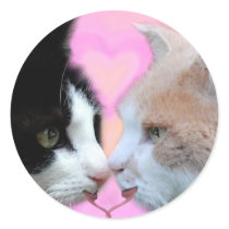 Katzen Liebespaar Aufkleber