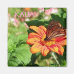 Kauai Hawaii Butterfly on Orange Wildflower Magnets