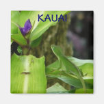 Kauai Hawaii Chameleon Fridge Magnet