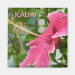 Kauai Hawaiian Tropical Flowers Hibiscus Magnet