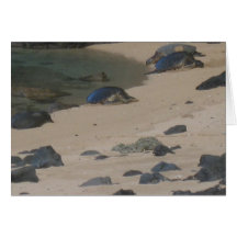 Kauai honu card