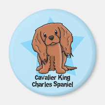 Kawaii Star Ruby Cavalier King Charles Spaniel Fridge Magnet