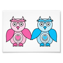 Kawaii Valentines Owls Art Photo
