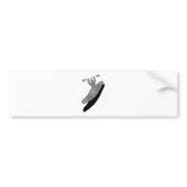 Kayak Boof Silvers Bumper Sticker
