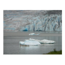 Kayaking at Mendenhall Postcard