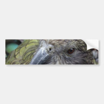 Kea Autocollants Pour Voiture