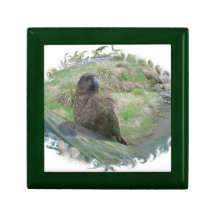 Kea Gift Box
