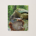 Kea puzzles