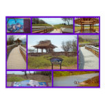Kealia Coastal Boardwalk Post Card