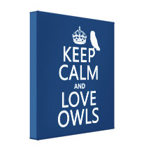 Keep Calm and Love Owls (any colour) Stretched Canvas Print
